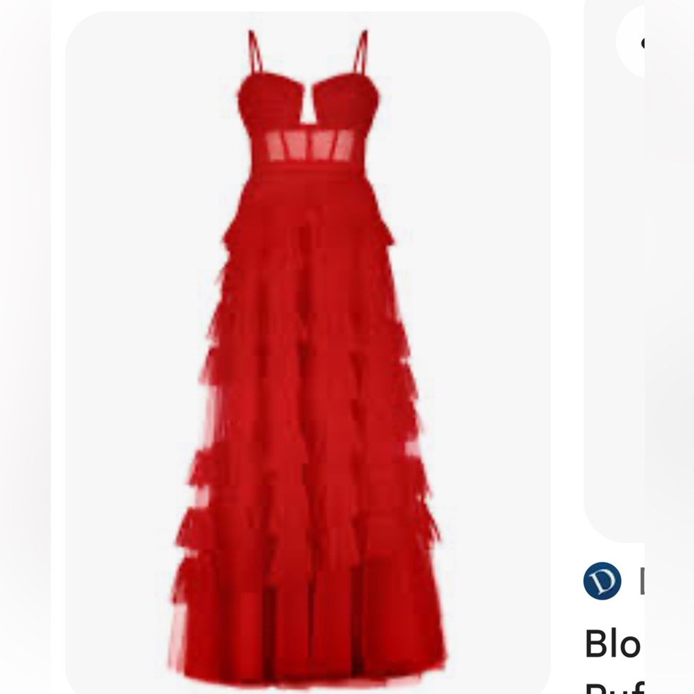 BCBG Corset Tulle Dress